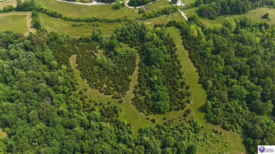 0 Locust Grove Road, Bonnieville, KY 42713 - #2