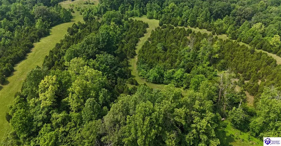 0 Locust Grove Road, Bonnieville, KY 42713 - #3