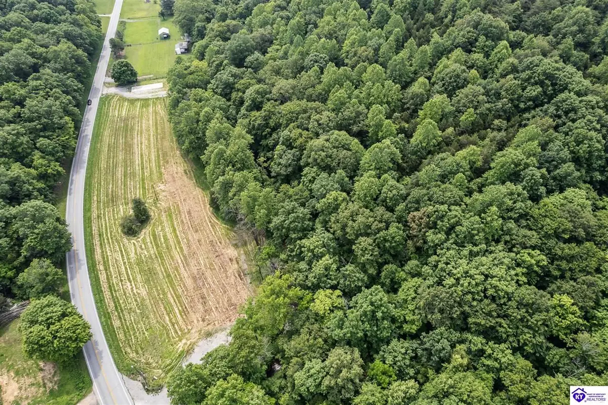 14899 Hodgenville Road, Mount Sherman, KY 42764 - #1