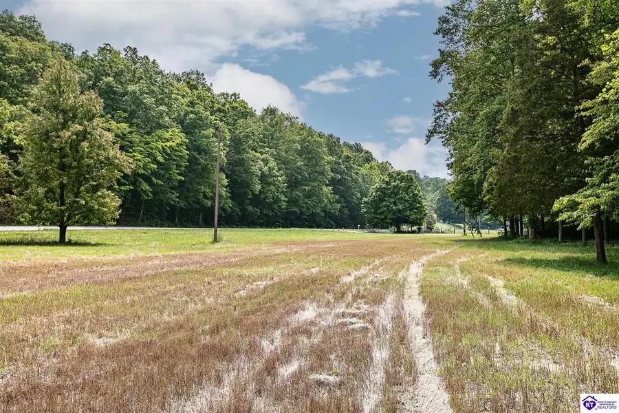 14899 Hodgenville Road, Mount Sherman, KY 42764 - #3