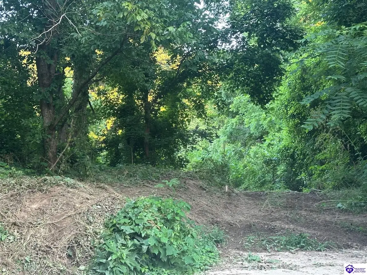 0 Highway 49, Bradfordsville, KY 40009 - #1