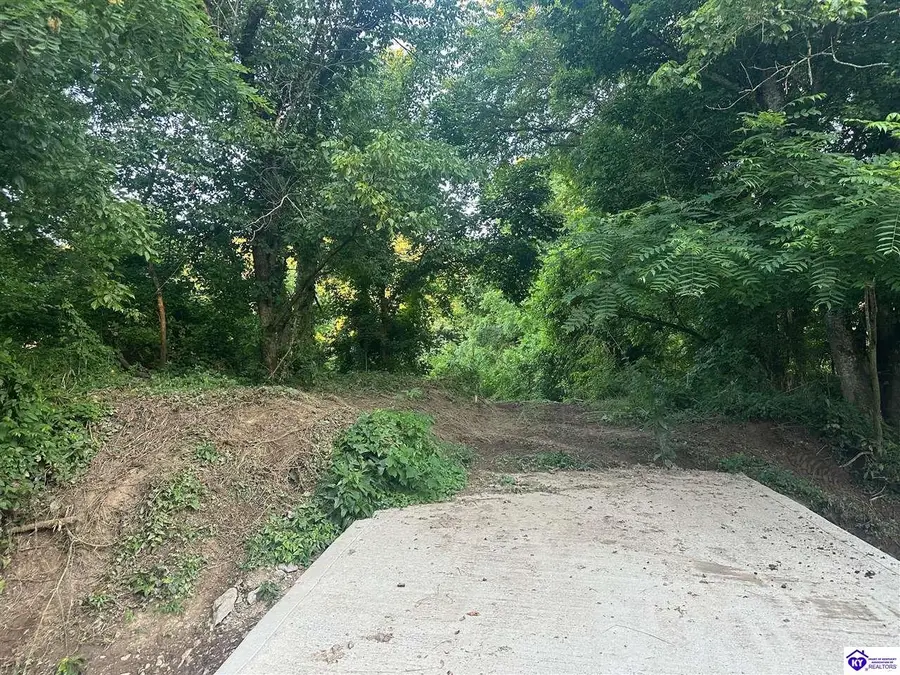 0 Highway 49, Bradfordsville, KY 40009 - #2