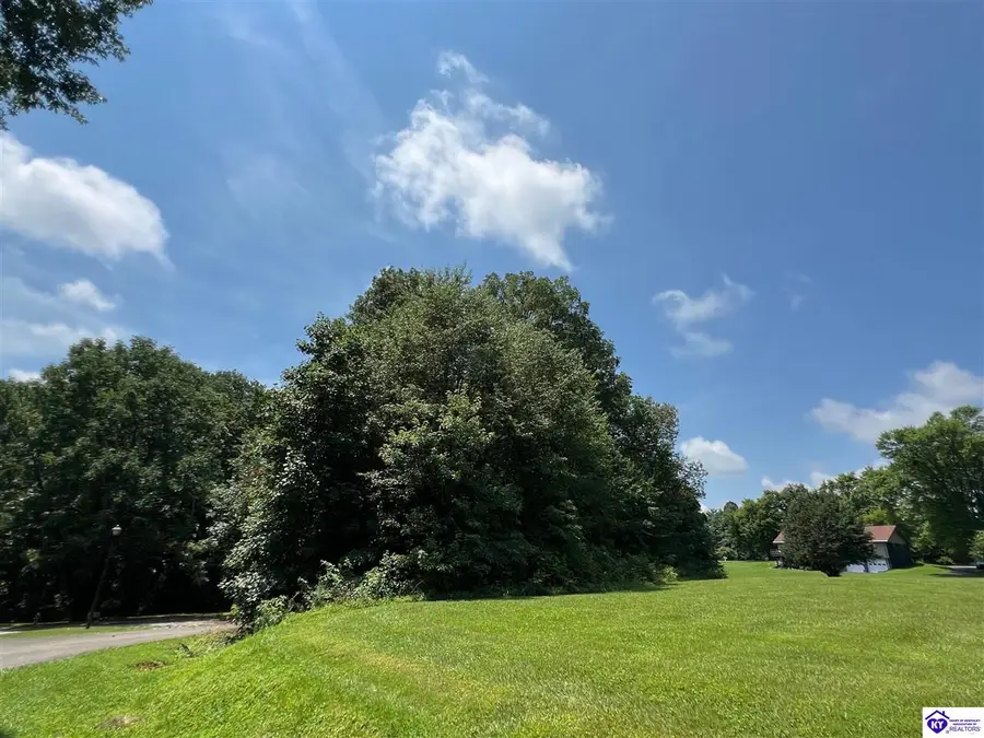 Lot 82 Hampton Court, Campbellsville, KY 42718-0000 - #3