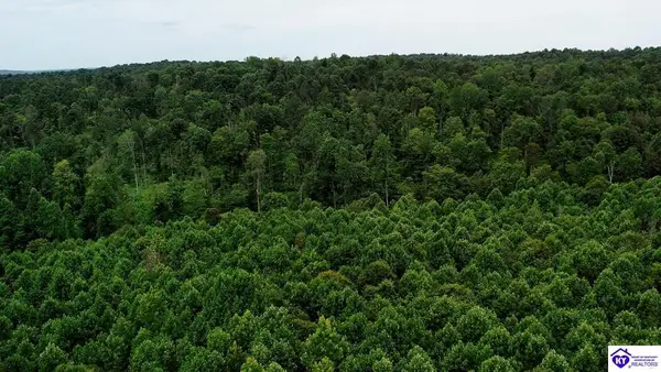 Tract 9 Cook Lane, Cromwell, KY 42333