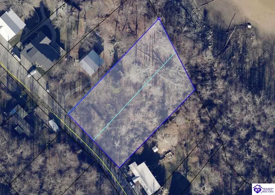 212 Woodland Drive, Cub Run, KY 42729 - #1