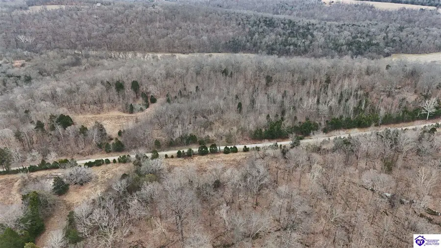 170 AC Wand Cemetery Road, Bowling Green, KY 42101 - #2