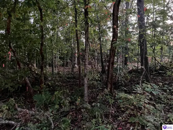 Rock Creek Road, Leitchfield, KY 42754