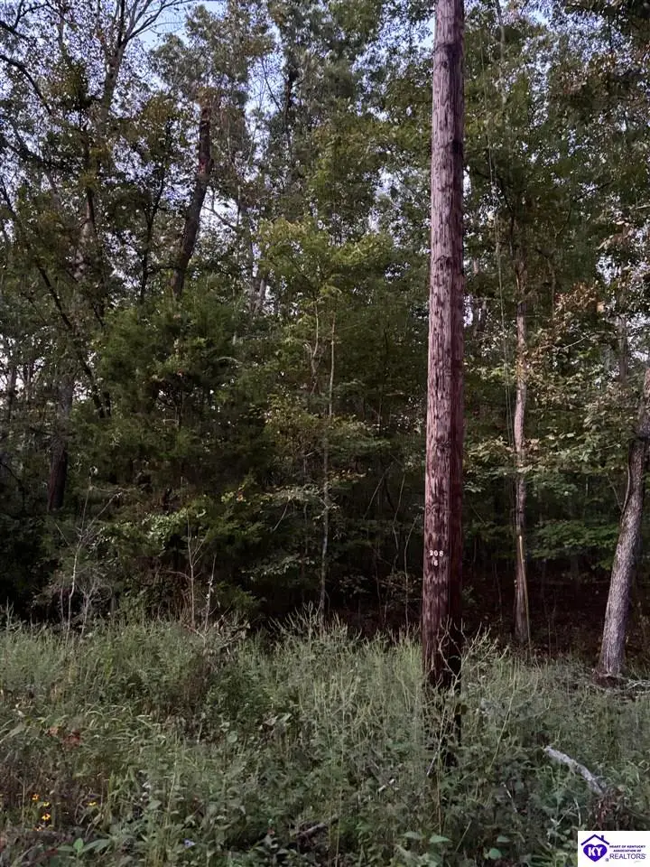 Rock Creek Road, Leitchfield, KY 42754 - #2