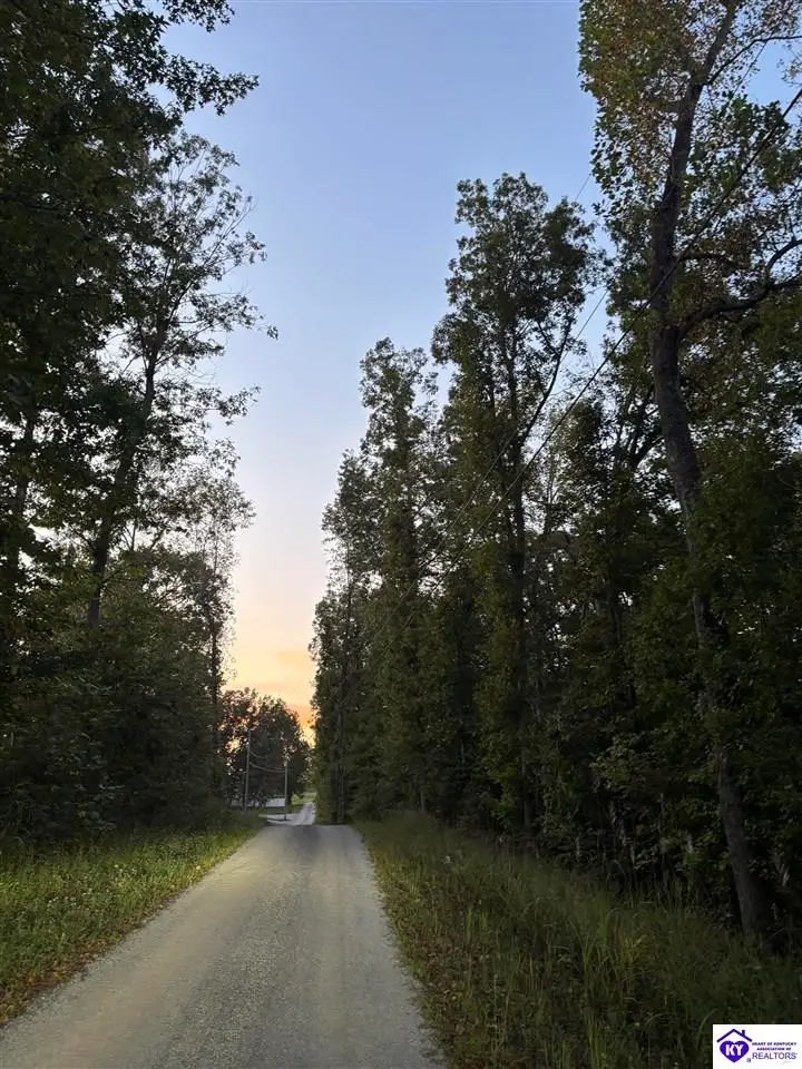 Rock Creek Road, Leitchfield, KY 42754 - #3