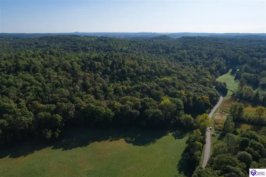 2728 Constantine Road, Cecilia, KY 42724 - #3