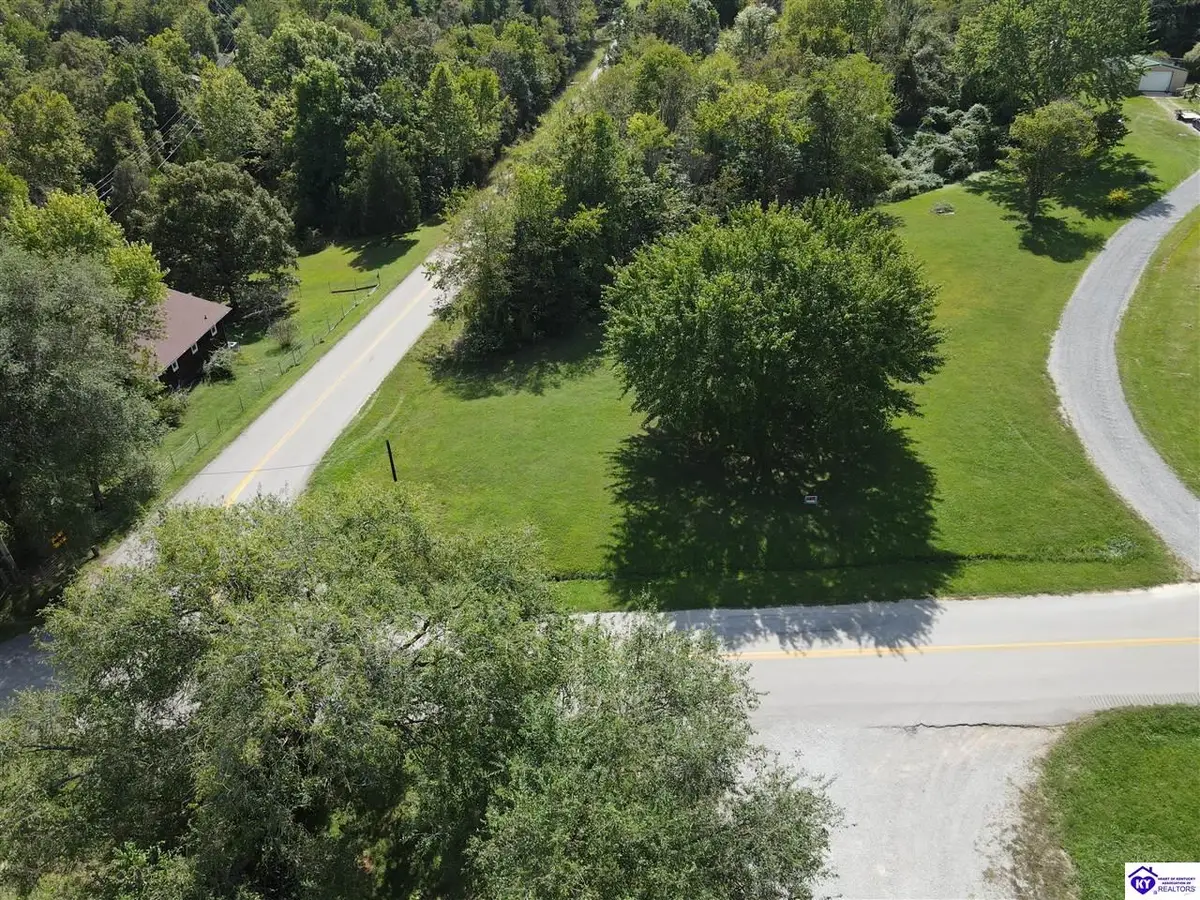0 Blue Bird Road, Falls Of Rough, KY 40119 - #1