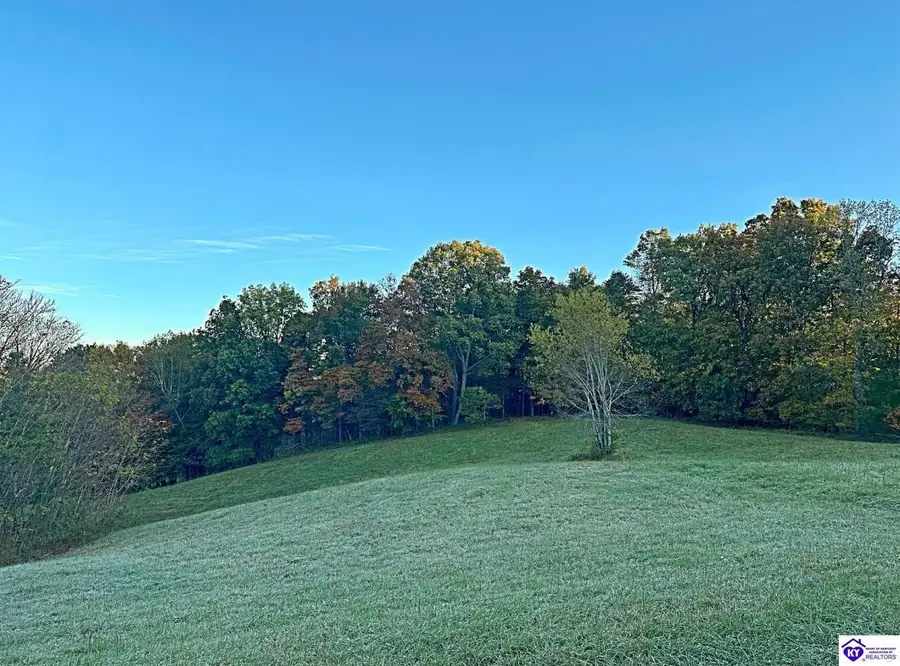 0 Sprowles Ridge Road, Campbellsville, KY 42718 - #3