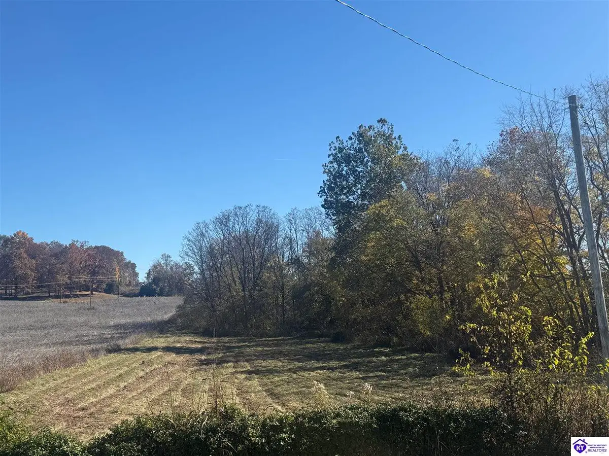 Lot #4 Highway 60, Guston, KY 40142 - #1