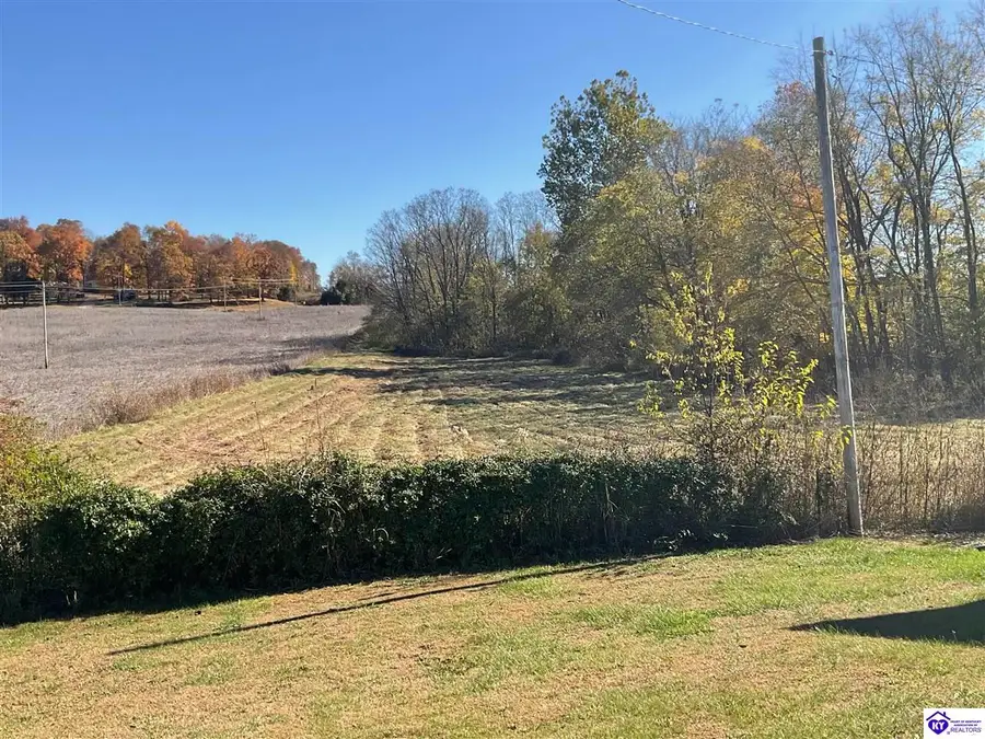 Lot #4 Highway 60, Guston, KY 40142 - #2