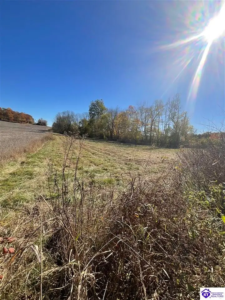 Lot #4 Highway 60, Guston, KY 40142 - #3