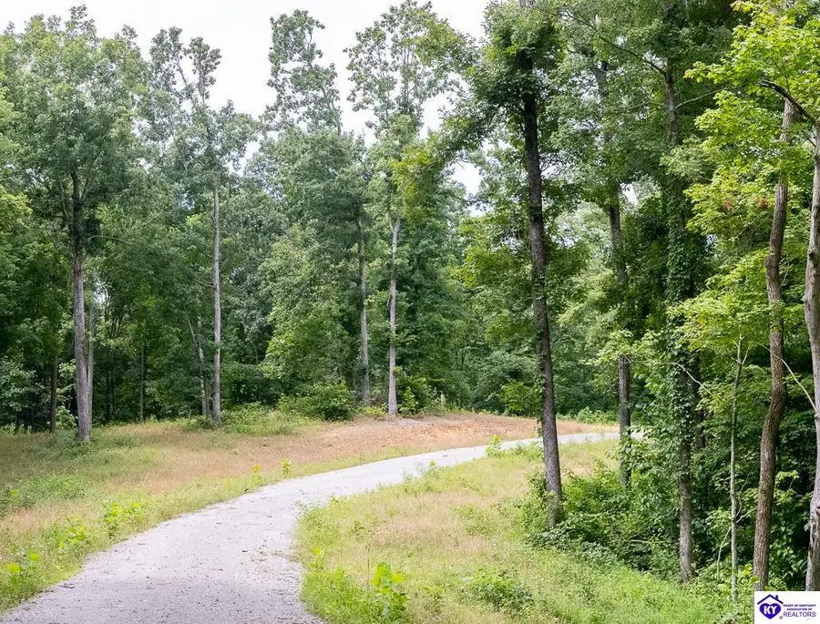 Tract 14 Cook Lane, Cromwell, KY 42333 - #2