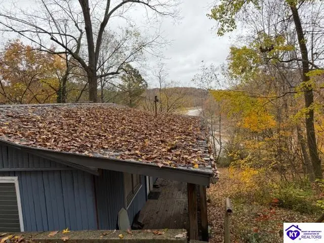 512 Hornback Mill Ext. Lane, Leitchfield, KY 42754 - #3