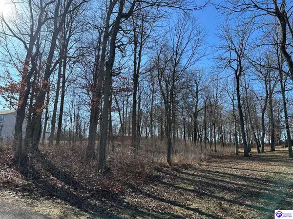 14 Buck Knobs Road, Ekron, KY 40117