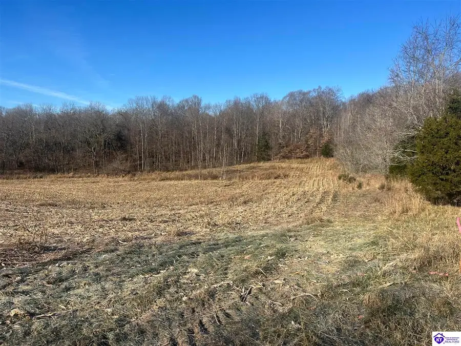 7611 Salt River Road, Cecilia, KY 42724 - #3