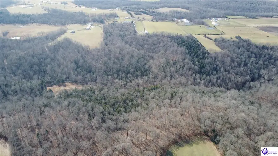 585 Tucker Lane, Hudson, KY 40145 - #2