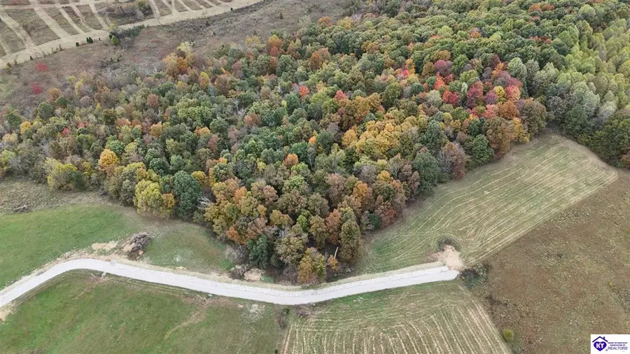 Tract 5 & 8 Troutman Lane, Clarkson, KY 42726-9999 - #2