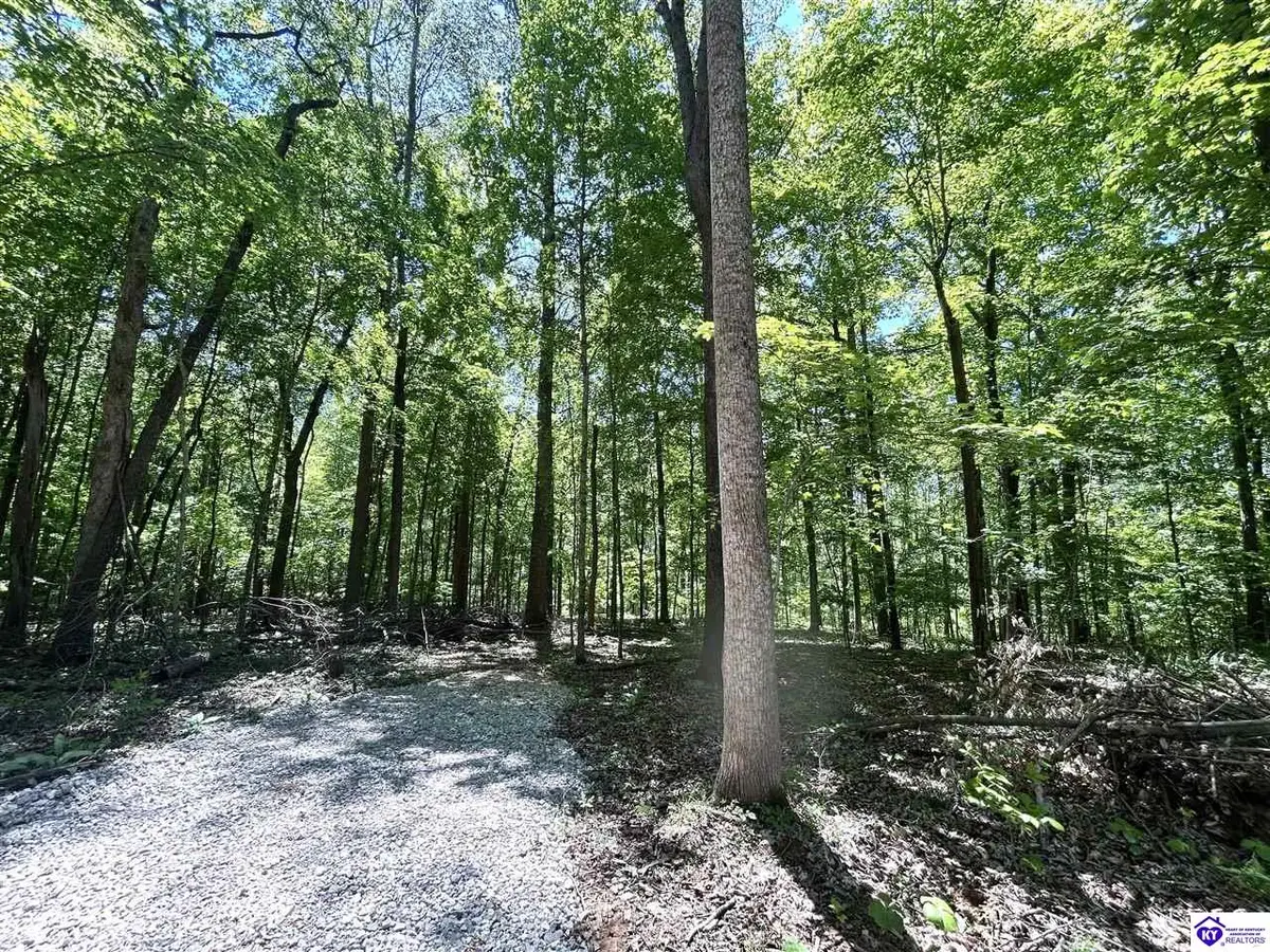 2525 Salem Lake Road, Hodgenville, KY 42748 - #1