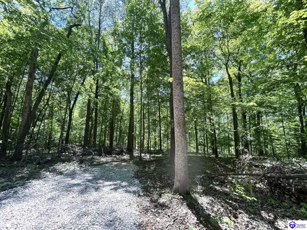 2525 Salem Lake Road, Hodgenville, KY 42748