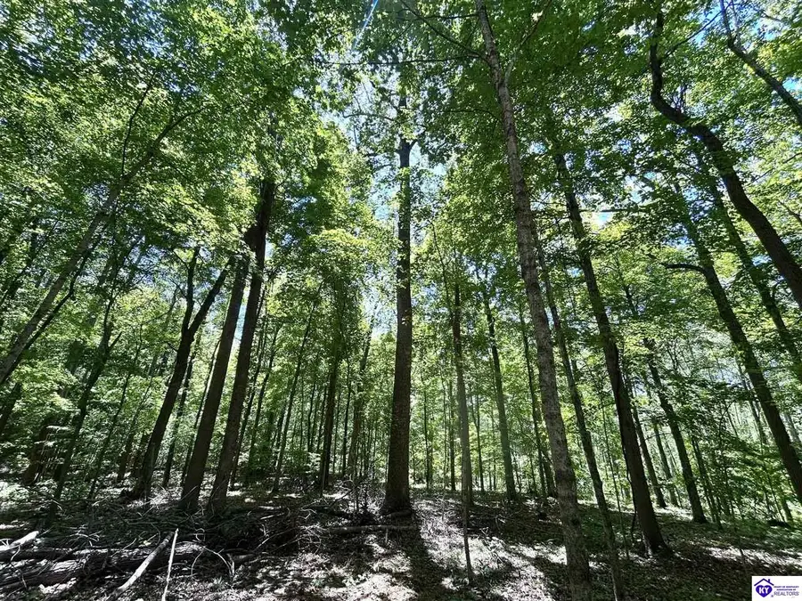 2525 Salem Lake Road, Hodgenville, KY 42748 - #2