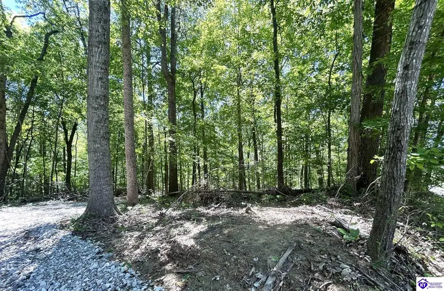 2525 Salem Lake Road, Hodgenville, KY 42748 - #3