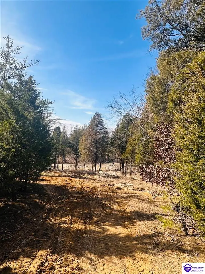 350 Cave Creek Road, Falls Of Rough, KY 40119 - #1