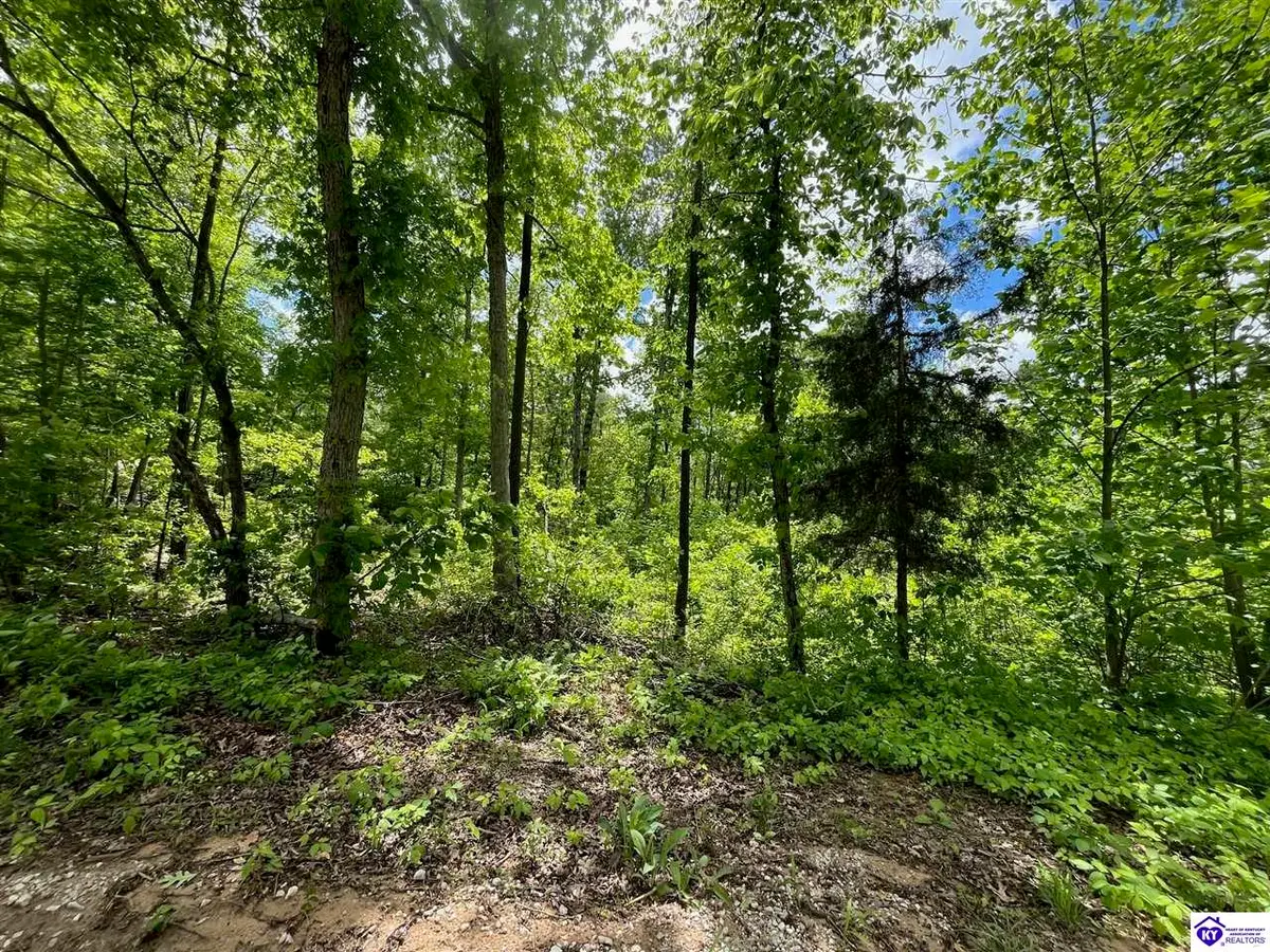 2208 Rocky Hill Road, Bonnieville, KY 42713 - #1