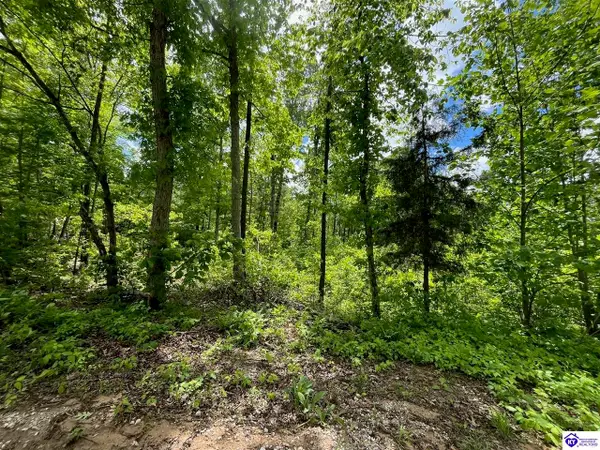 2208 Rocky Hill Road, Bonnieville, KY 42713