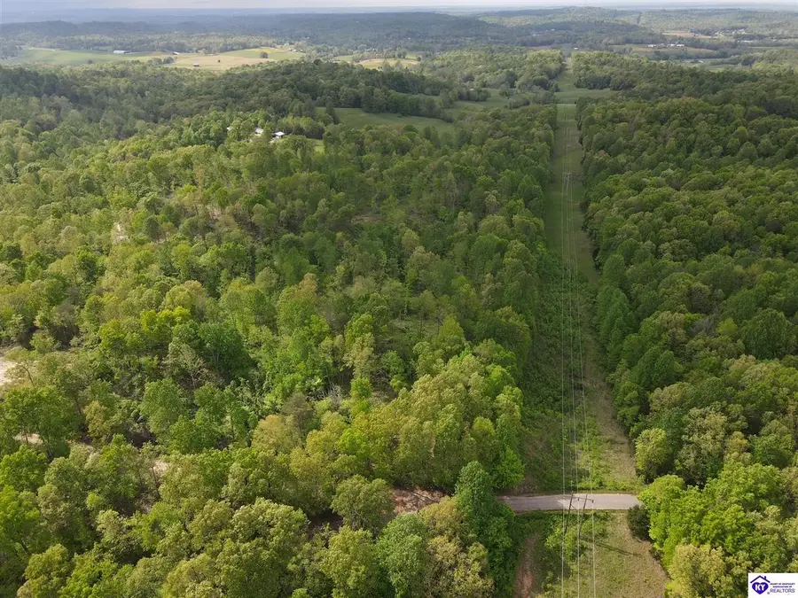 2208 Rocky Hill Road, Bonnieville, KY 42713 - #3