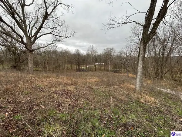 185 Rhodelia Road, Payneville, KY 40157