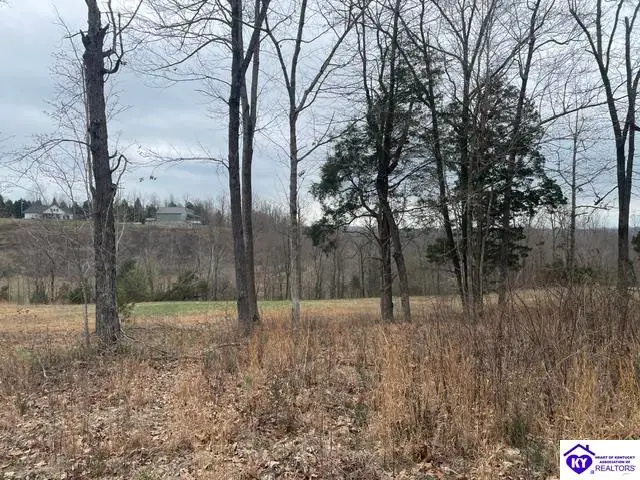 0 Sylvan Circle, Leitchfield, KY 42754 - #1