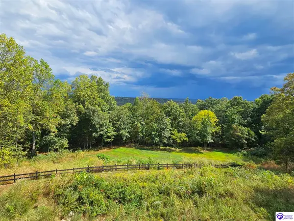 107 Junction Spur Road, Falls Of Rough, KY 40119