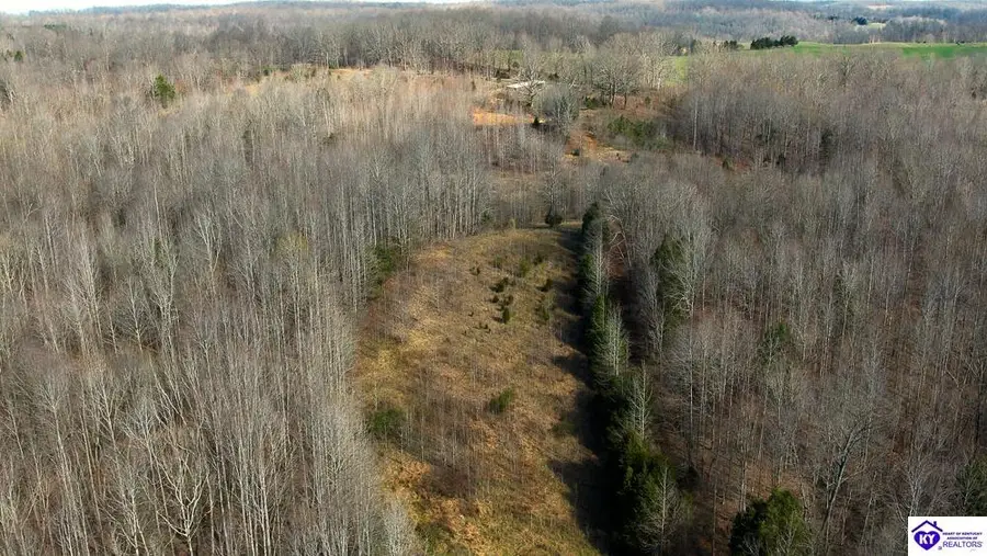 TRACT 2 Jones School Road, Mount Sherman, KY 42764 - #3