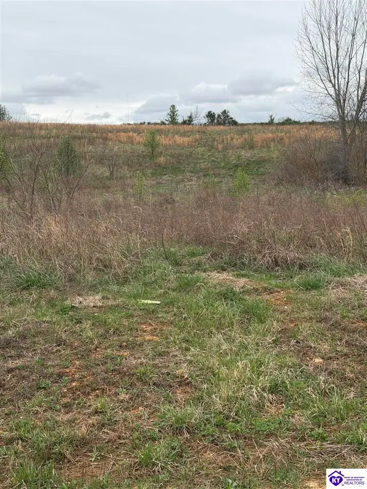 177 Diamond Court, Vine Grove, KY 40175 - #1