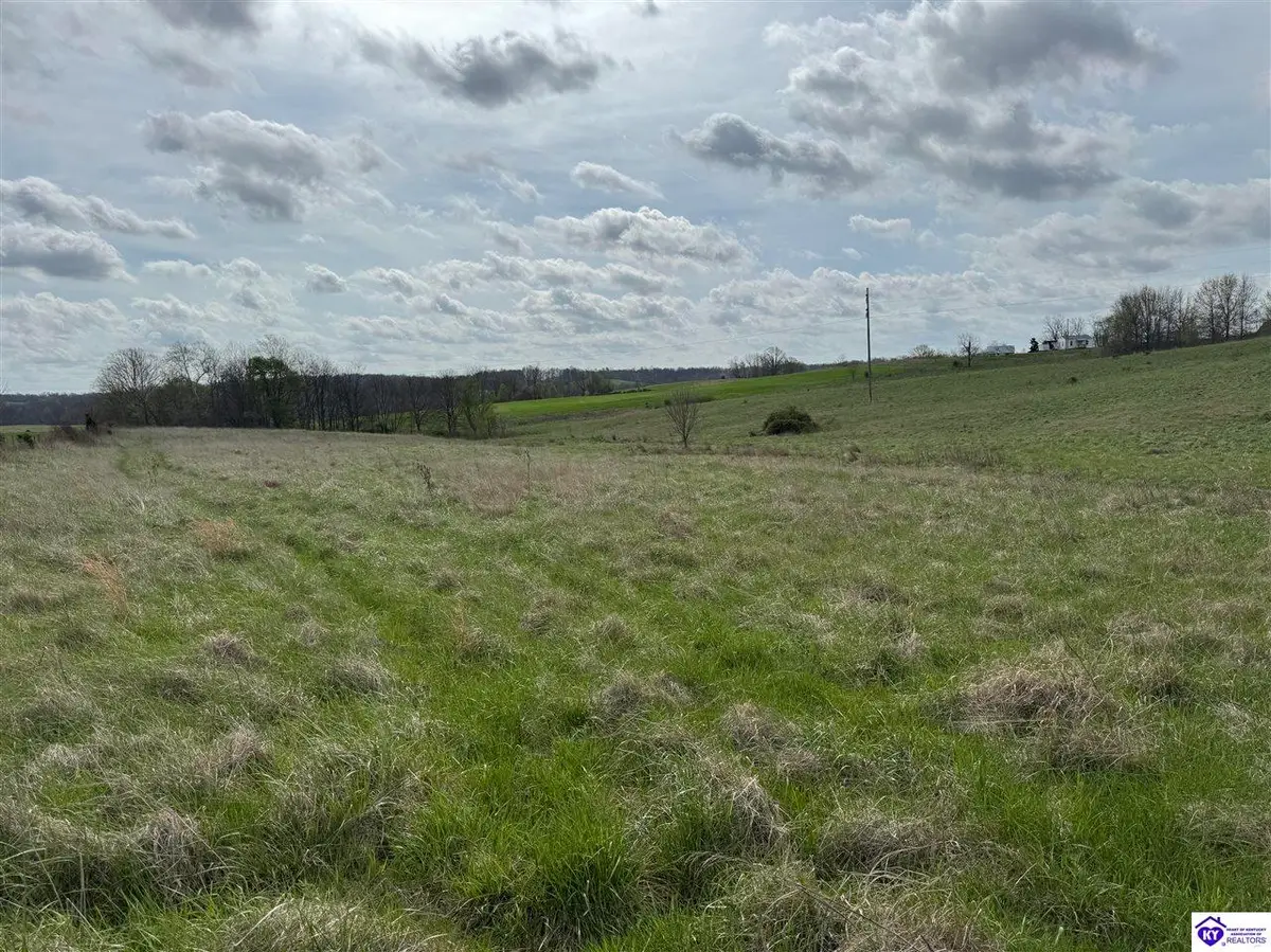 3163 S Highway 105, Hardinsburg, KY 40143 - #1