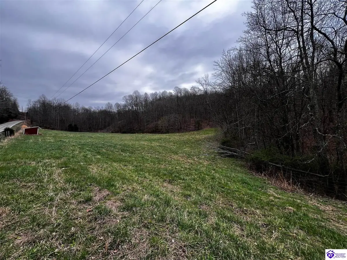 4325 Boiling Springs Road, Munfordville, KY 42765-0000 - #1