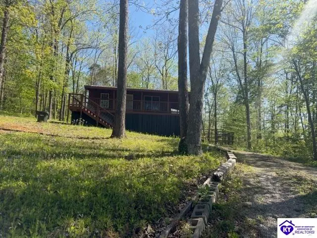 413 Old Fat Bruce Road, Falls Of Rough, KY 40119 - #1