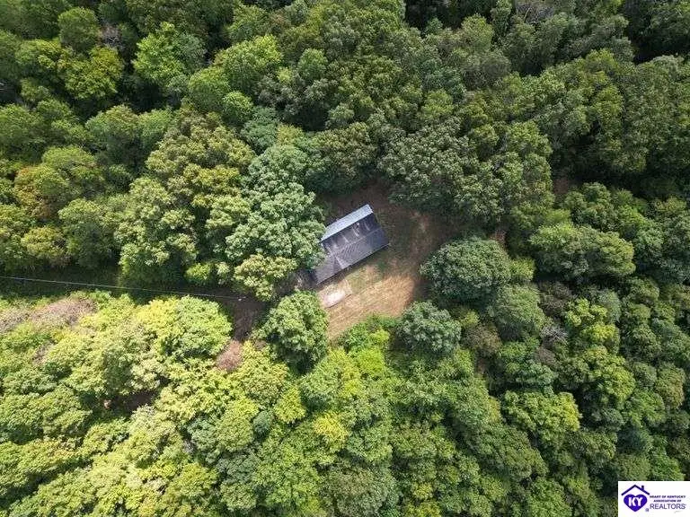 1071 George Tabb Road, Upton, KY 42784 - #3