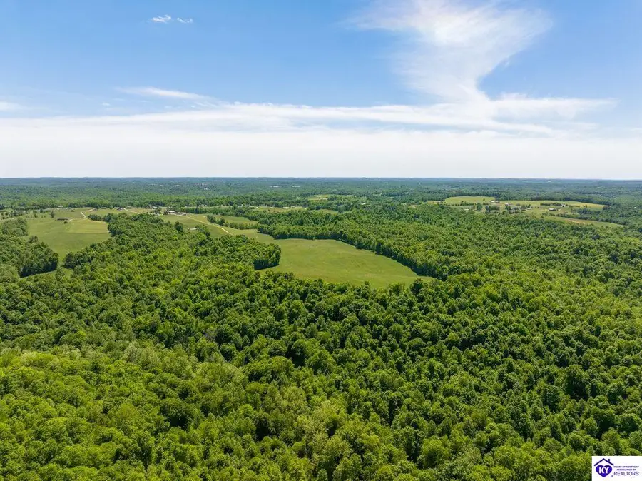 0 McGrew Church Road, Leitchfield, KY 42754 - #2