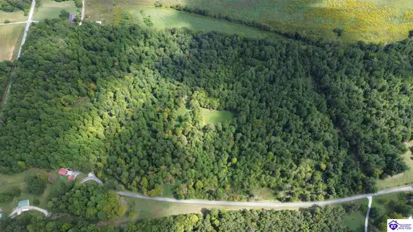 4285 Bolton School Road, Bonnieville, KY 42713