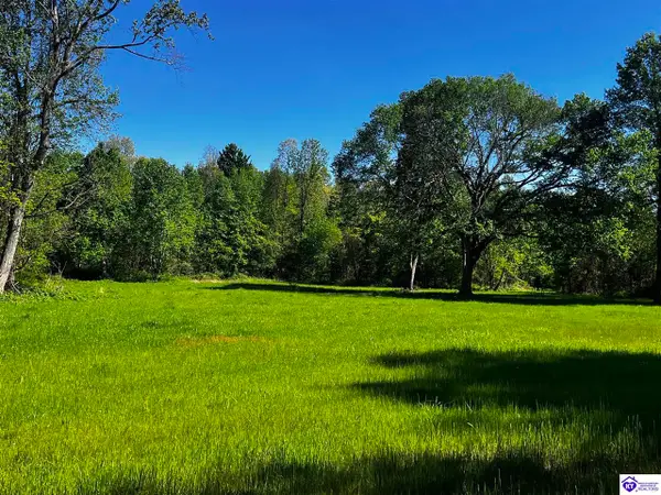 1000 DAWSON HOLLOW N RD, Bonnieville, KY 42713-0000