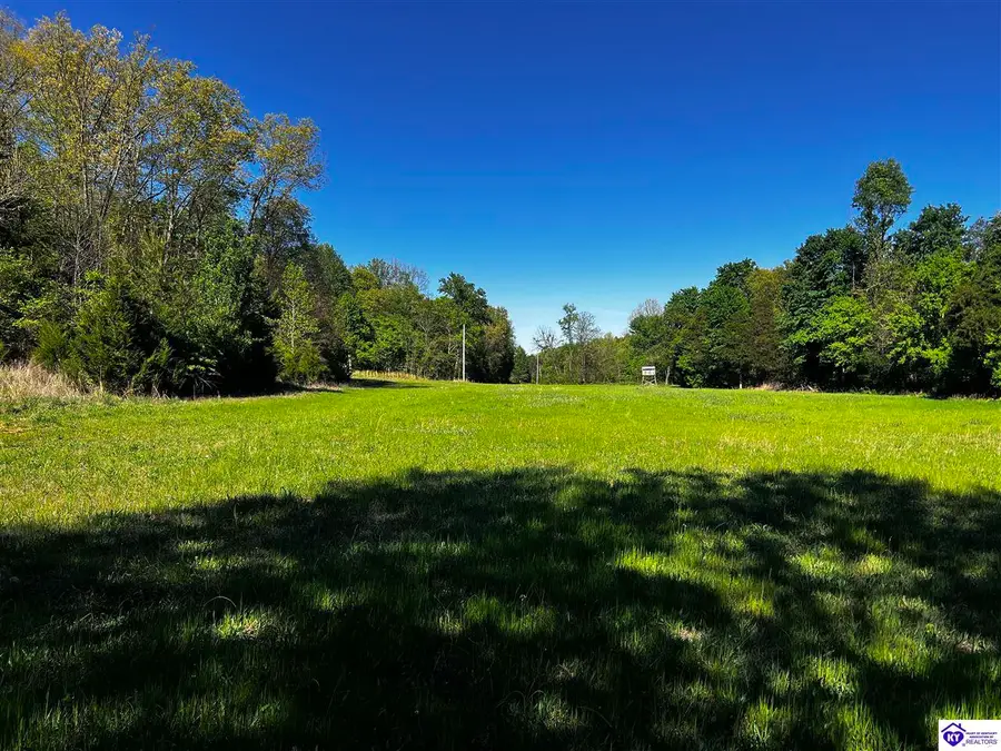 1000 DAWSON HOLLOW N RD, Bonnieville, KY 42713-0000 - #3