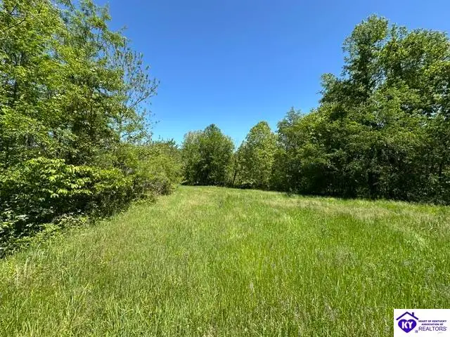 21.99 ac Jack Chappell Road, Webster, KY 40176 - #1