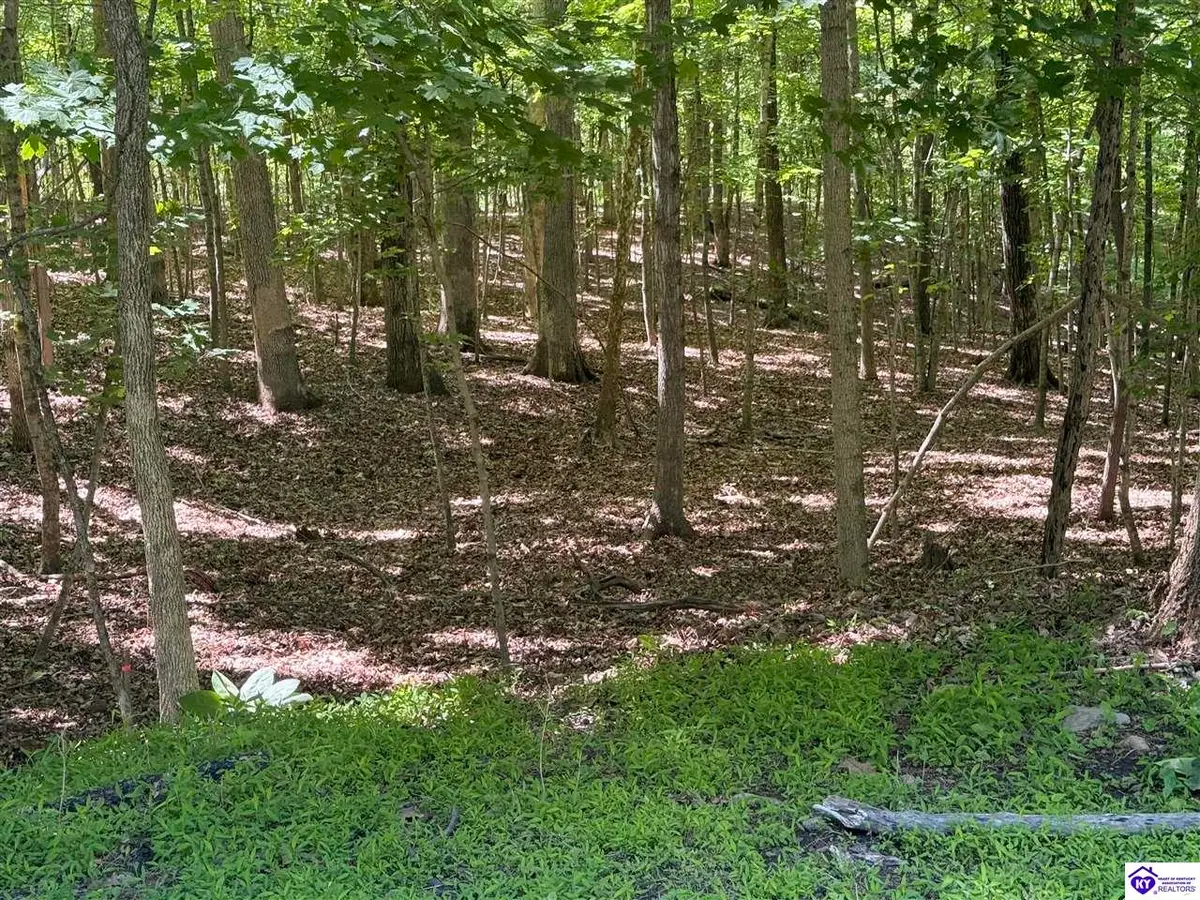 Lot 569 Raspberry Court, Brandenburg, KY 40108 - #1