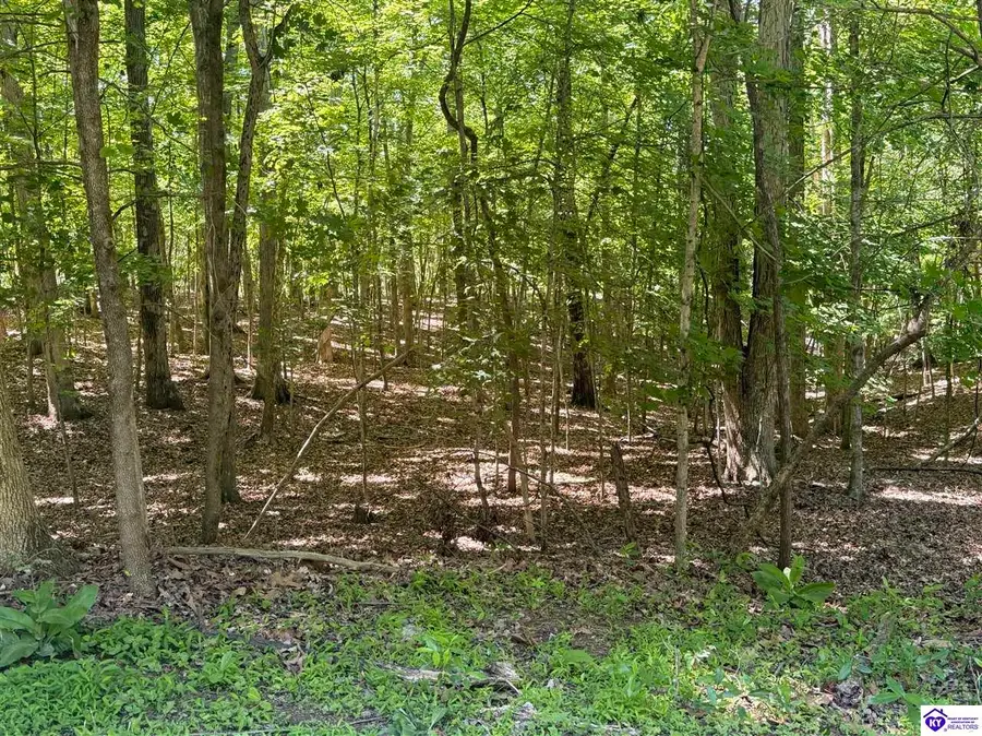 Lot 569 Raspberry Court, Brandenburg, KY 40108 - #2