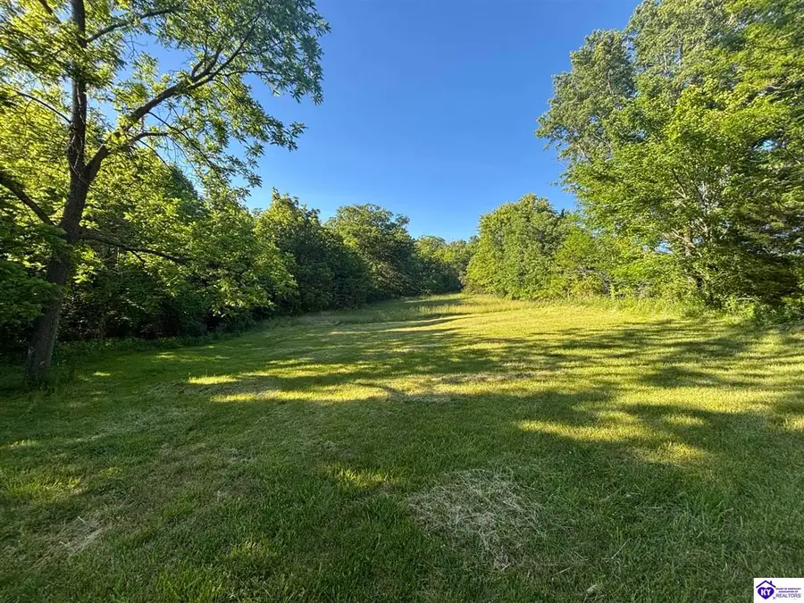 4574 Payneville Road, Brandenburg, KY 40108 - #2